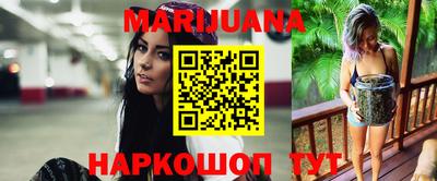 спиды Кингисепп