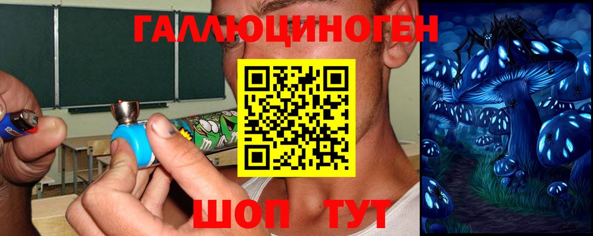 Псилоцибиновые грибы Magic Shrooms Нальчик