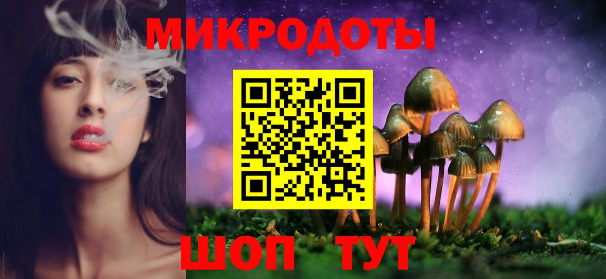 Галлюциногенные грибы Psilocybe  Вход с VPN  Нальчик 